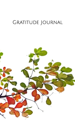 Daily Gratitude Journal - Gannon