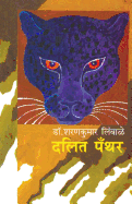 Dalit Panther: Bhoomika Ani Chalawal