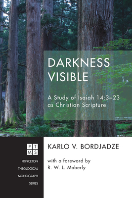 Darkness Visible - Bordjadze, Karlo V, and Moberly, R Walter L (Foreword by)