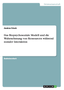 Das Biopsychosoziale Modell Und Die Wahrnehmung Von Ressourcen Wahrend Sozialer Interaktion