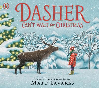 Dasher Can't Wait for Christmas - 