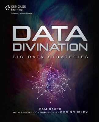 Data Divination: Big Data Strategies - Baker, Pam, and Gourley, Bob