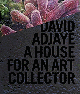 David Adjaye: A House for an Art Collector