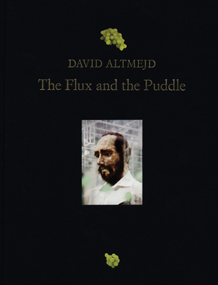 David Altmejd: The Flux and the Puddle - Altmejd, David, and Kotara, Jason (Editor), and Prentnieks, Anne (Text by)