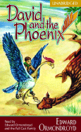 David and the Phoenix (Economy)