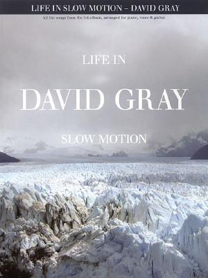 David Gray - Life in Slow Motion - Gray, David