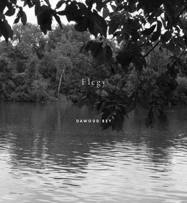 Dawoud Bey: Elegy - Bey, Dawoud (Photographer), and Oliver, Valerie Cassel, and Brooks, Leronn P (Text by)