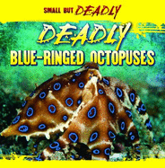 Deadly Blue-Ringed Octopuses