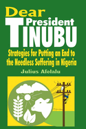 Dear President Tinubu: Strategies for Putting an End to the Needless Suffering in Nigeria