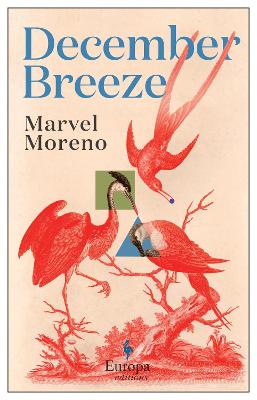 December Breeze: A masterful novel on womanhood in Colombia - Moreno, Marvel, and Adey, Isabel (Translated by), and Coombe, Charlotte (Translated by)