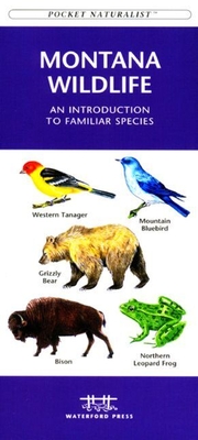 Denali Wildlife: A Folding Pocket Guide to the Wildlife of Denali National Park & Denali State Park - Kavanagh, James, and Waterford Press (Creator)