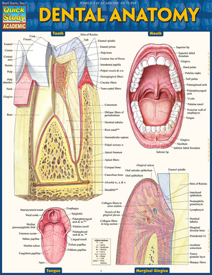 Dental Anatomy - Perez, Vincent