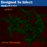 Designed to Infect: Helicbacter pylori