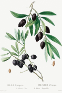 Designer Notizheft: liniert mit Motiv "Olive (Olea europaea)" von Pierre-Joseph Redout, Notebook, Schreibheft etwa A5 (15,3 x 22,9 cm) mit botanischer Illustration, stilvolle Geschenkidee fr Gartenliebhaber