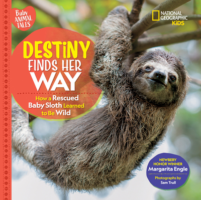 Destiny Finds Her Way: How a Rescued Baby Sloth Learned to Be Wild - Engle, Margarita