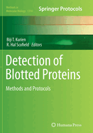 Detection of Blotted Proteins: Methods and Protocols