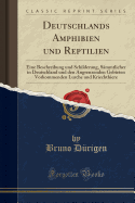 Deutschlands Amphibien Und Reptilien: Eine Beschreibung Und Schilderung, Smmtlicher in Deutschland Und Den Angrenzenden Gebieten Vorkommenden Lurche Und Kriechthiere (Classic Reprint)