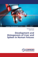 Development and Histogenesis of Liver and Spleen in Human Fetuses