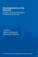 Development on the Ground: Clusters, Networks and Regions in Emerging Economies
