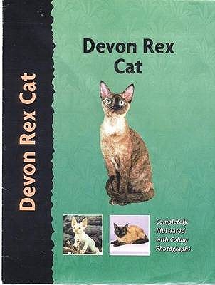 Devon Rex Cat - King, C