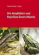 Die Amphibien Und Reptilien Deutschlands