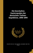 Die Beschalten Gasteropoden Der Deutschen Tiefsee-Expedition, 1898-1899...