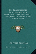 Die Fortschritte Der Hebraischen Sprachwissenschaft Part 1: Von Jehuda Chaijug Bis David Kimchi, (1898)