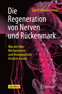 Die Regeneration Von Nerven Und Rckenmark: Was Wir ber Mechanismen Und Therapeutische Anstze Wissen