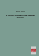 Die Sehnenreflexe Und Ihre Bedeutung Fur Die Pathologie Des Nervensystems