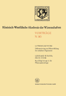 Differenzierung Und Musterbildung Bei Einfachen Organismen. Kurzlebige Isotope in Der Pflanzenphysiologie Am Beispiel Des 11c-Radiokohlenstoffs: 362. Sitzung Am 8. November 1989 in Dusseldorf