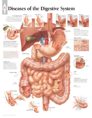 Diseases of the Digestive System - Scientific Publishing