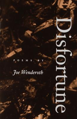 Disfortune - Wenderoth, Joe
