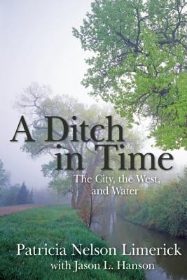 Ditch in Time - Limerick, Patricia Nelson, Professor