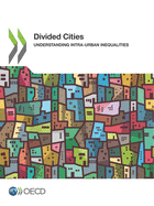 Divided Cities: Understanding Intra-urban Inequalities