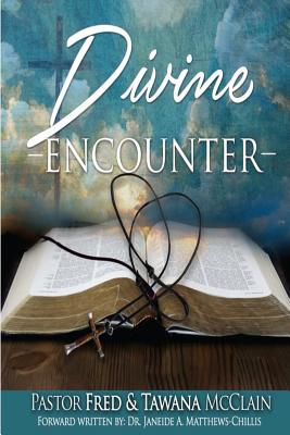 Divine Encounter - Matthews-Chillis, Janeide a (Foreword by), and Hudson, Jackie (Editor)