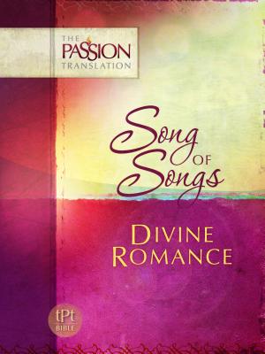 Divine Romance - Simmons, Brian Dr, and Simmons, Candice