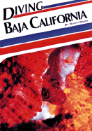 Diving Baja California