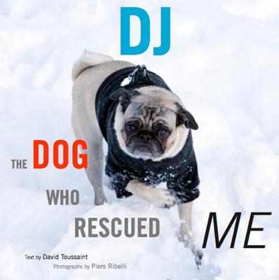 DJ: The Dog Who Rescued Me - Toussaint, David, and Ribelli, Piero (Photographer)
