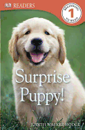 DK Readers L1: Surprise Puppy