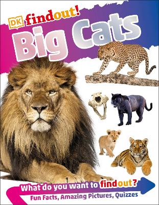 DKfindout! Big Cats - DK