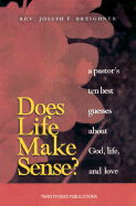 Does Life Make Sense?: A Pastor's Ten Best Guesses about God, Life, and Love