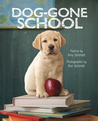 Dog-Gone School - Schmidt, Amy, and Schmidt, Ron (Photographer)