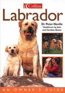 Dog Owner's Guide: Labrador