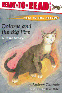 Dolores and the Big Fire: Ready-To-Read Level 1