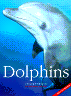 Dolphins