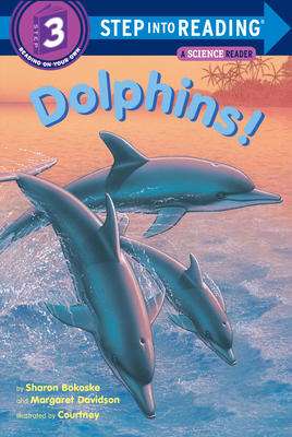 Dolphins! - Bokoske, Sharon