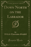 Down North on the Labrador (Classic Reprint)