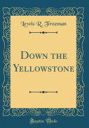 Down the Yellowstone (Classic Reprint)