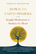 Down to Earth Dharma: Insight Meditation to Awaken the Heart