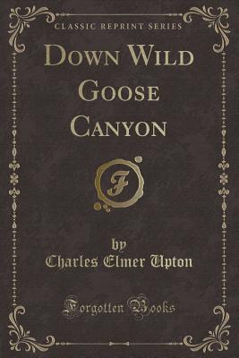 Down Wild Goose Canyon (Classic Reprint) - Upton, Charles Elmer